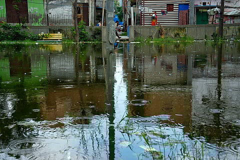 Residents allege how government officials fine them for dirty drums and coolers but ignore the broken sewage system.