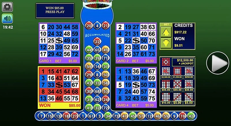 Bingo Game Rules