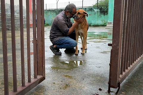 Dr Kumar and Tiger