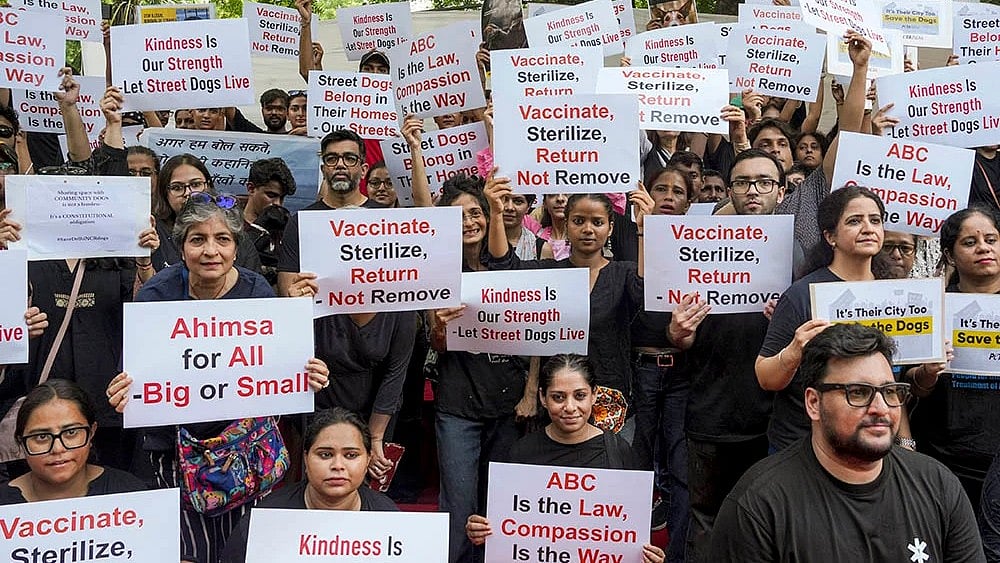 Protest against SC order on stray dogs issue (representational image) - | Photo: PTI/Karma Bhutia