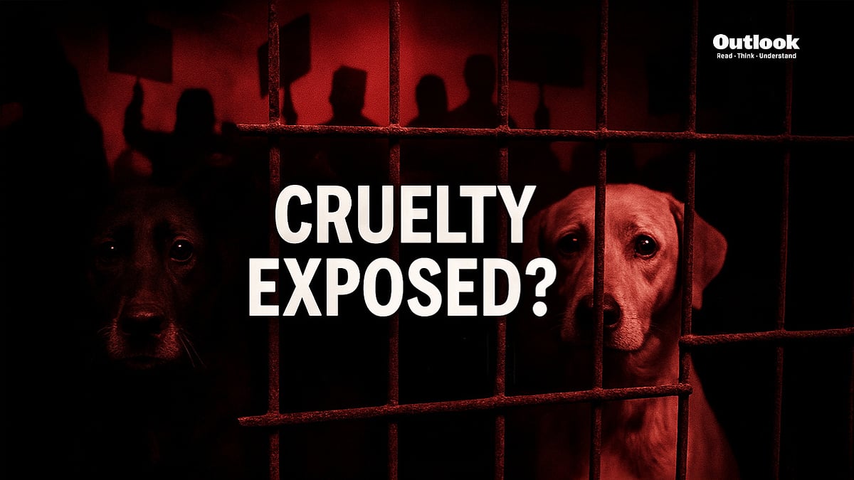 Rohini Dog Shelter Cruelty Claim