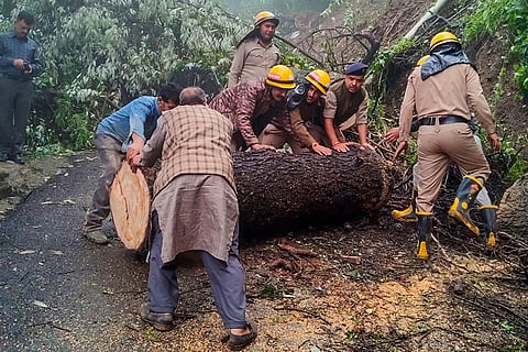 Landslide in Shimla