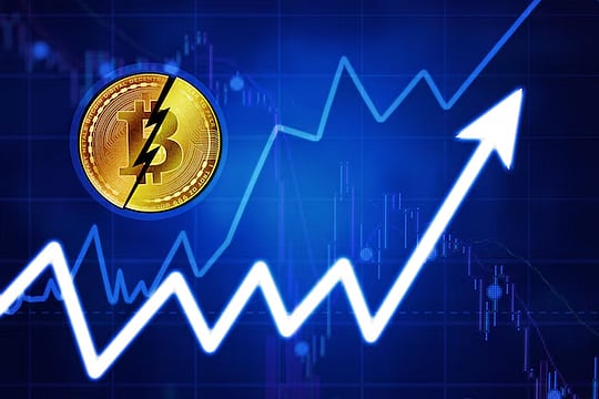 What Is The Long-Term Portfolio Role Of A Crypto Portfolio?