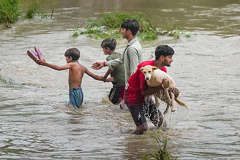 Swollen Yamuna river in Delhi