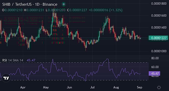 Shiba Inu Price Graph