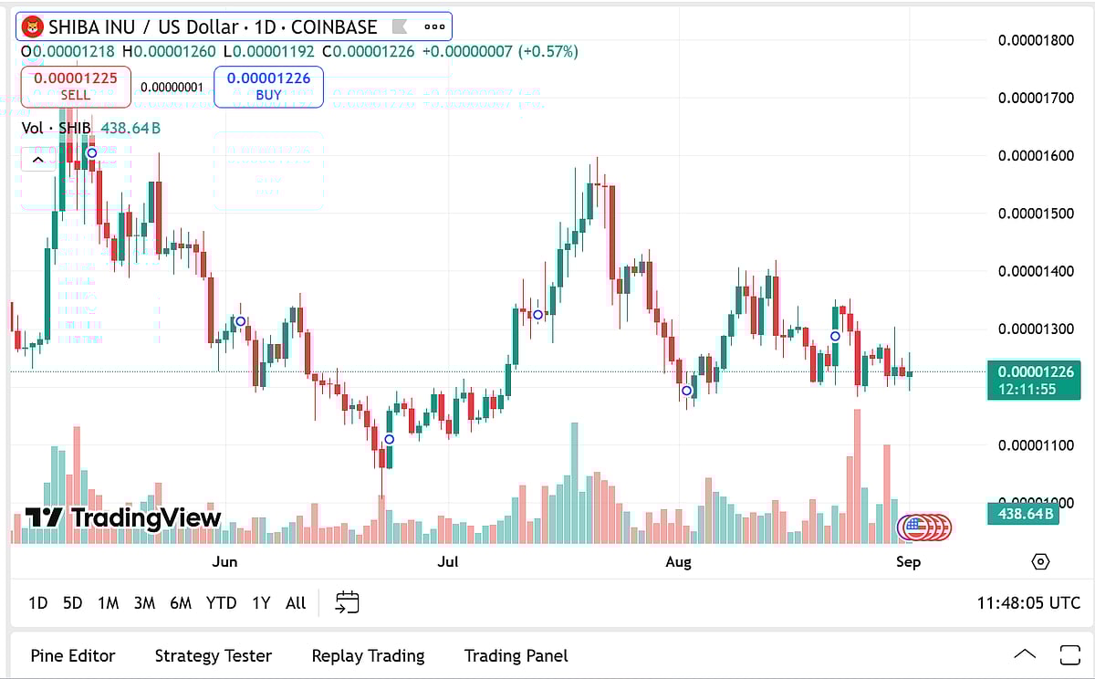 Shiba inu Price Chart