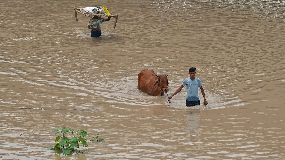 SURESH K PANDEY : People cross through the yamuna floods towards safety as they salvage whatever they can of their belongings. 
