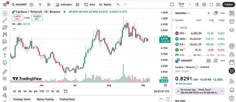 Cardano chart