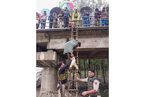 Weather: Floods in Anantnag