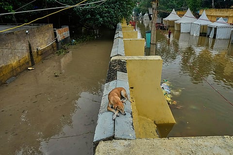 Flooding in Delhi