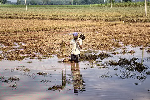 Floods in Punjab