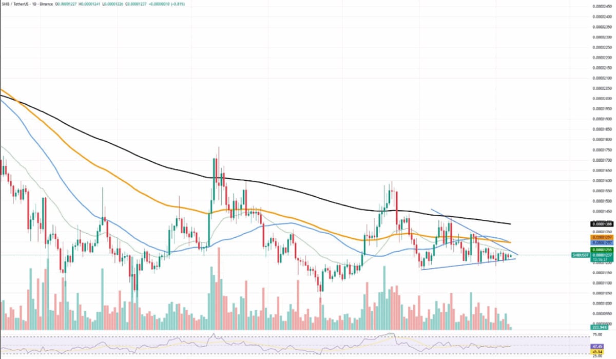 Shiba inu Price Chart