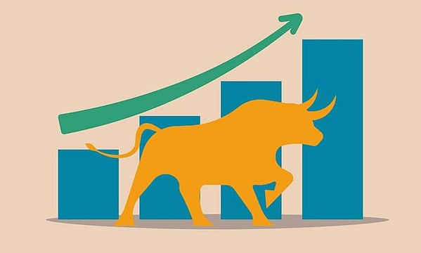 How Can Overvaluation, Market Manipulation, And Regulatory Shocks Impact Momentum?