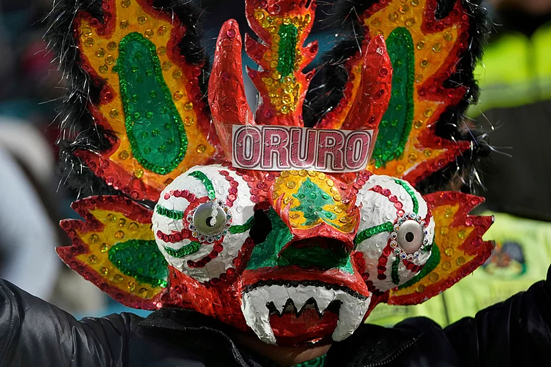 FIFA World Cup CONMEBOL qualifying soccer match Bolivia vs Brazil_Bolivia fan