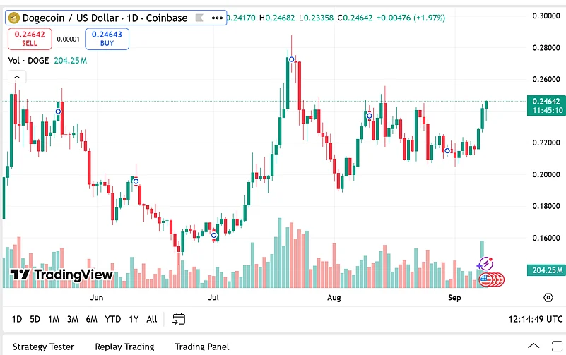Dogecoin Price Activity
