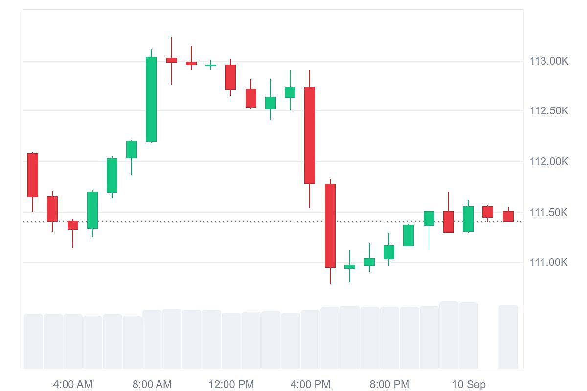 Bitcoin price chart