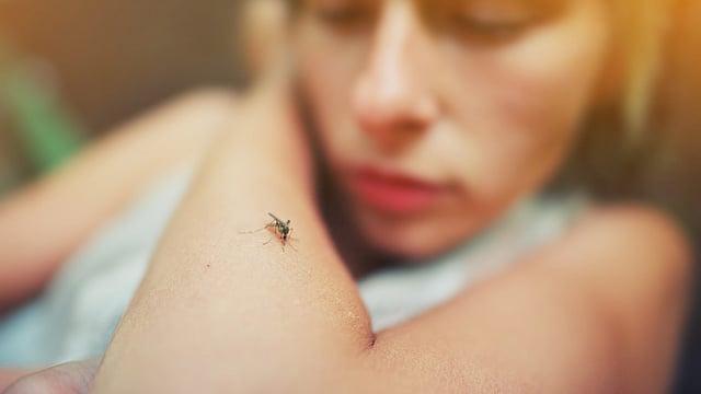 Nadda Urges States To Stay Vigilant Amid Rise In Dengue, Malaria And Monsoon-Related Illnesses