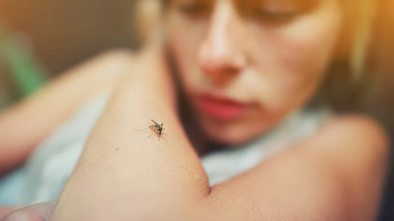 Woman getting bit by a mosquito