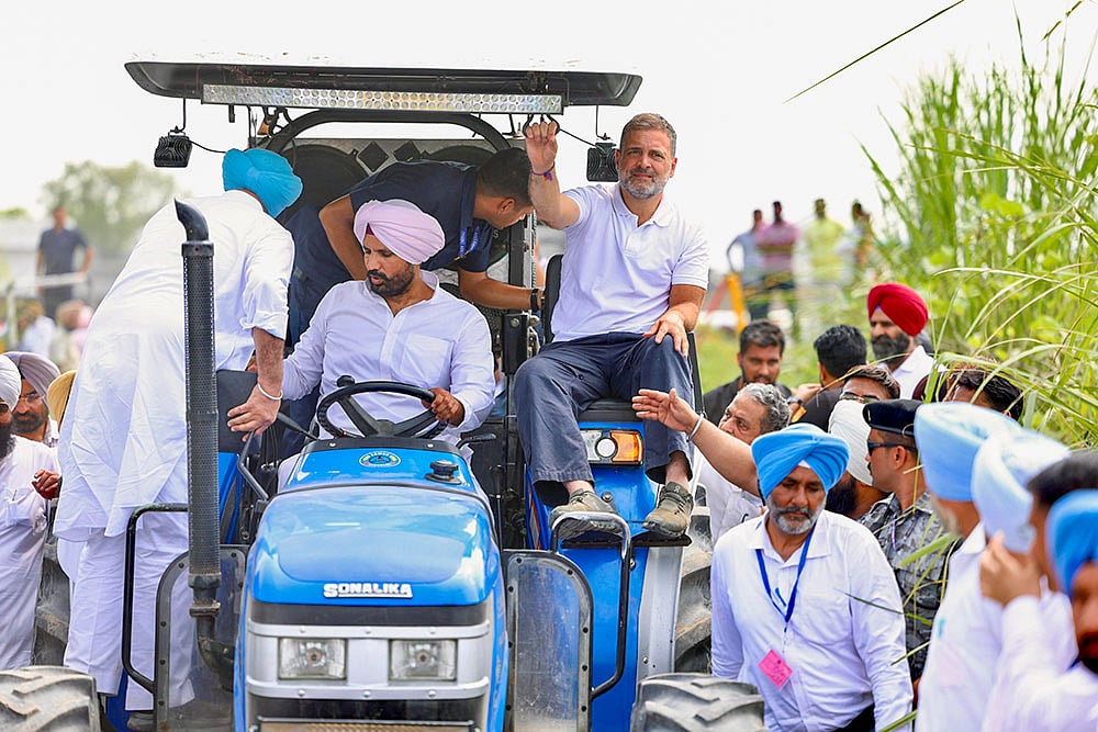 | Photo: @INCIndia/X via PTI : Rahul Gandhi in Punjab
