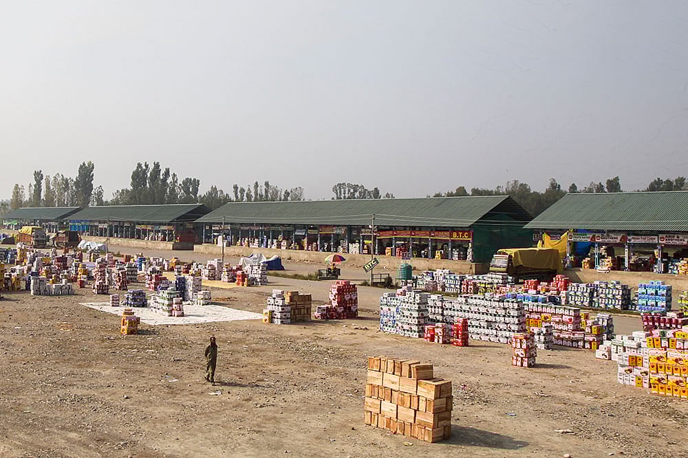 Kashmir Apple Crisis