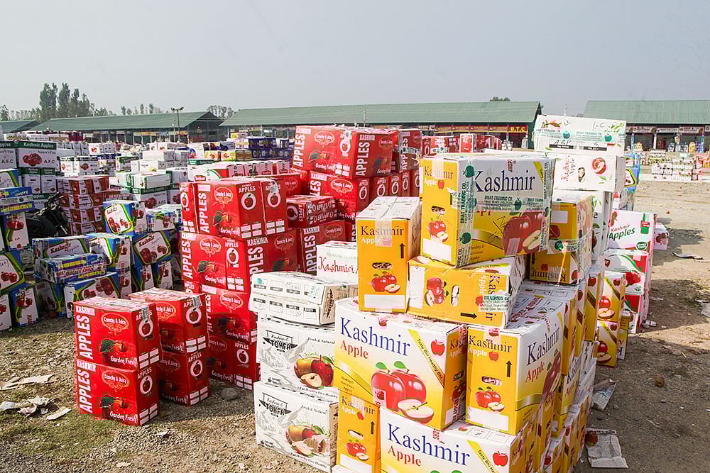 Kashmir Apple Crisis