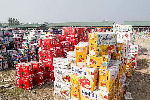 Kashmir Apple Crisis