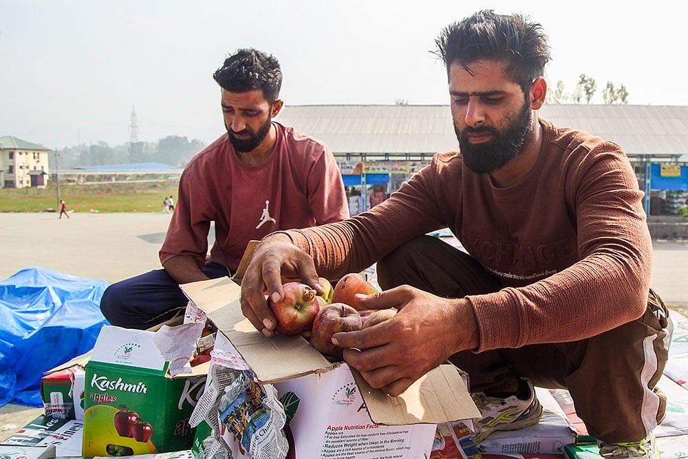 Kashmir Apple Crisis