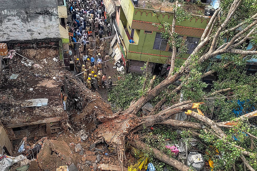 Huge tree uprooted in Lucknow