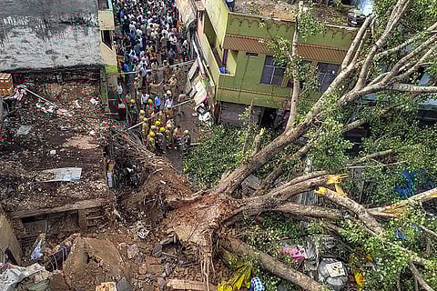 Huge tree uprooted in Lucknow