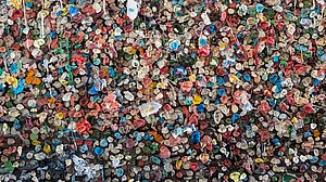 Sritama Bhattacharyya : Gum Wall
