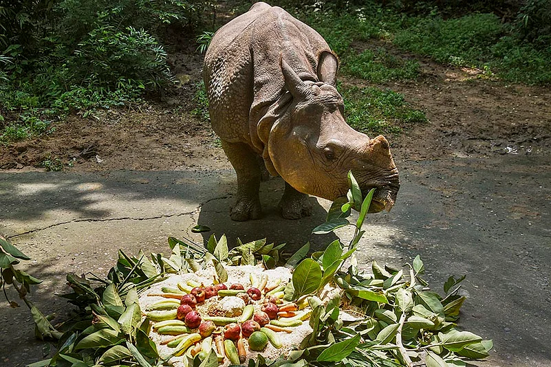 World Rhino Day