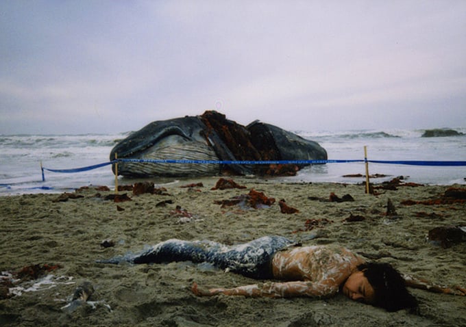 Still - Miguel Gomes