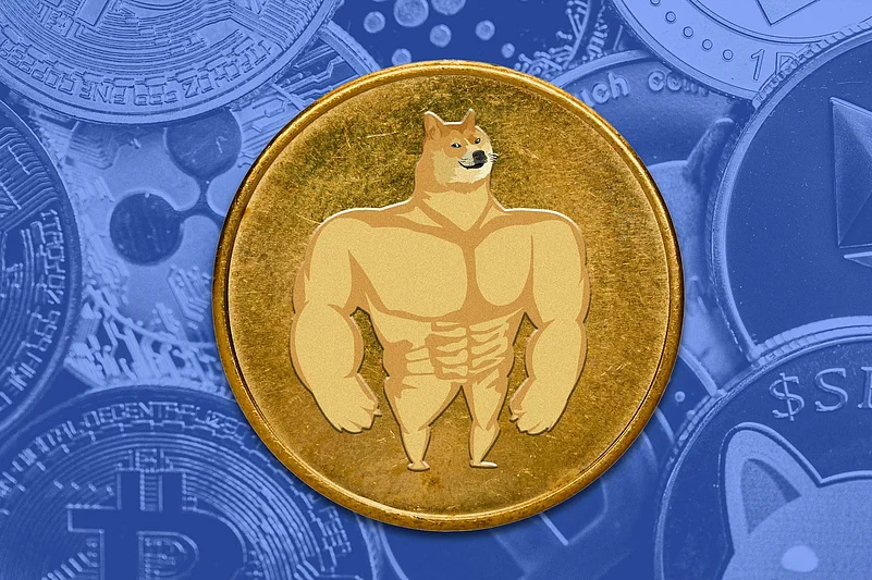 Maxi doge coin