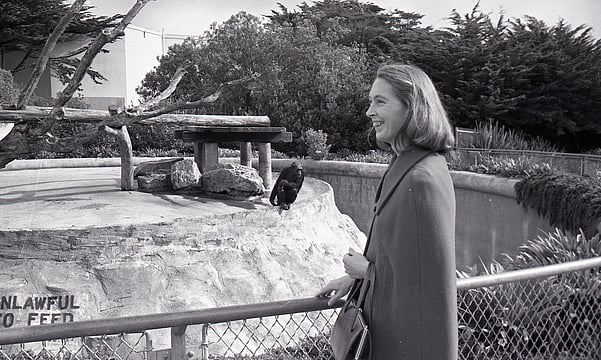 Jane Goodall, A Primatologist Who Changed How We See Ourselves, Dies At 91