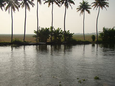 The Strike In Kuttanad That Made History