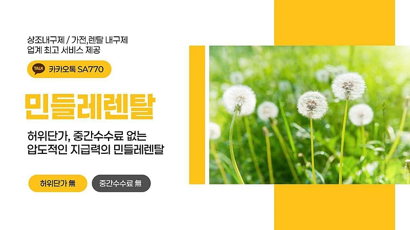Dandelion rentals promo banner with a picture of dandelion on right side
