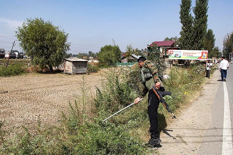 Destruction of wild cannabis in J-K