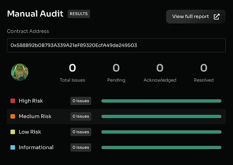 Manual Audit results