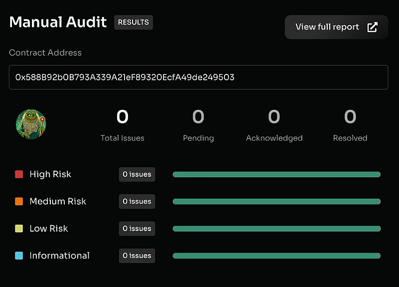 Manual Audit