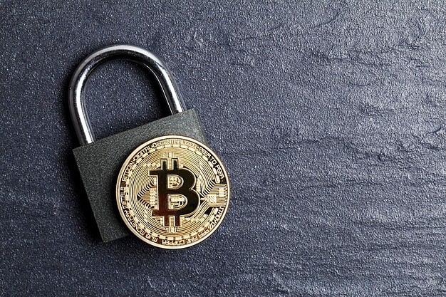 What Makes Crypto Ecosystems the Backbone of Digital Finance Today?