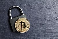 What Makes Crypto Ecosystems the Backbone of Digital Finance Today?