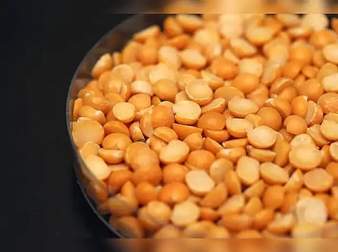 Congress Criticises Government’s Yellow Pea Import Policy, Flags Losses For Farmers