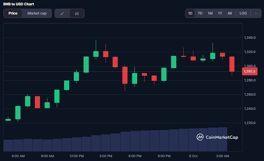BNB Coin Price Chart