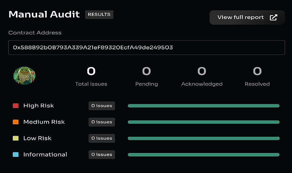 Manual Audit Results dashboard showing zero issues