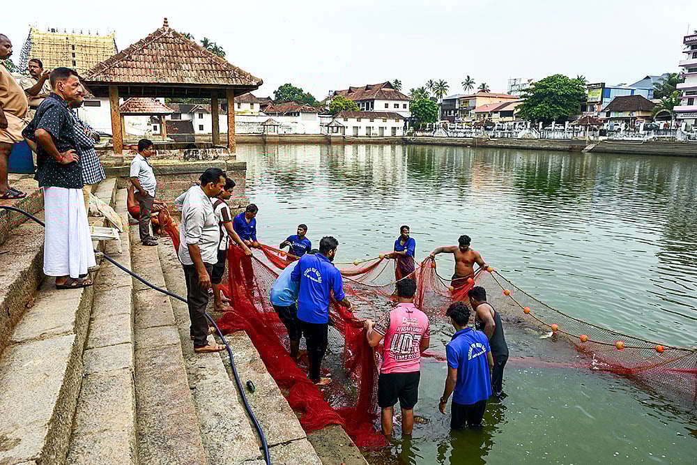People collect dead fish in Trivandrum