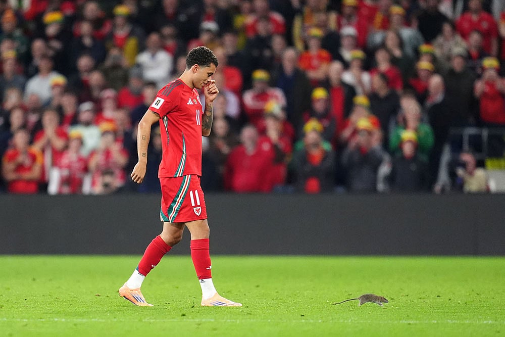 FIFA World Cup Qualifier Soccer Match: Belgium vs Wales