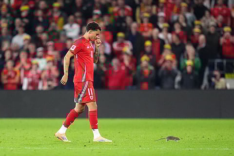 FIFA World Cup Qualifier Soccer Match: Wales vs Belgium