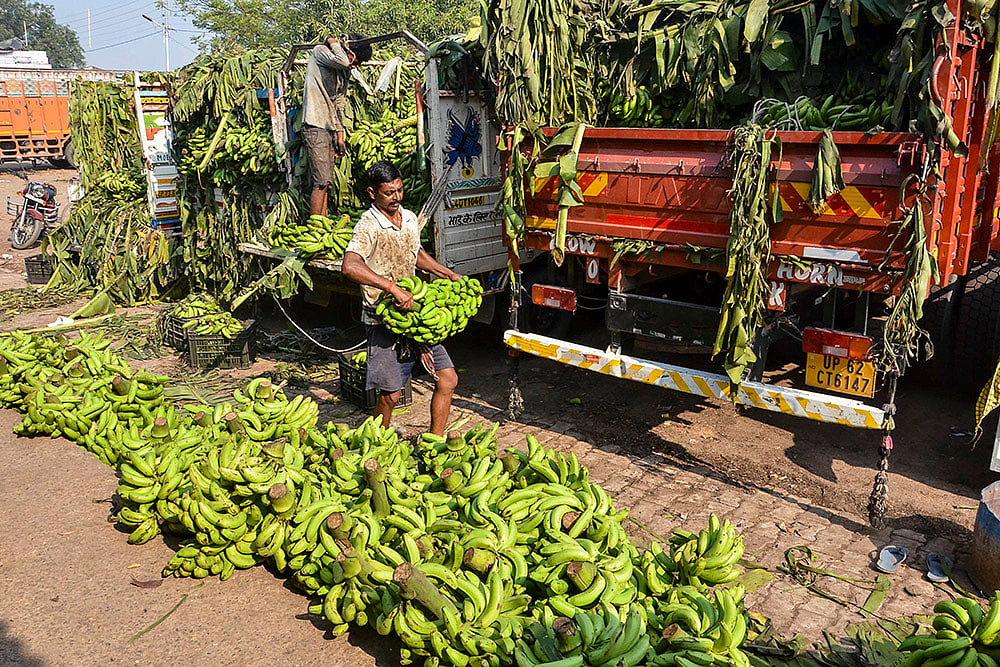 People at a fruit market in Mirzapur