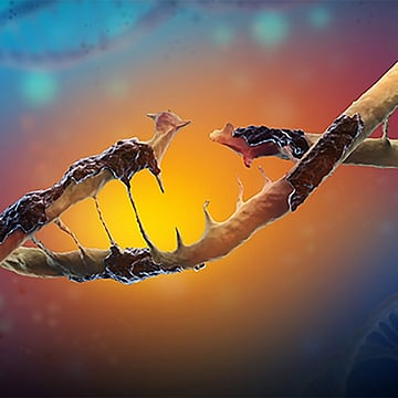 Blood Mutations Linked To Obesity, Diabetes, Liver Disease: Study