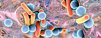NIT-Rourkela Researchers Develop Plant-Based Antibacterial Nanoparticles To Tackle AMR